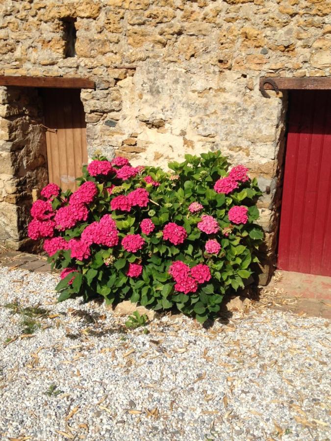Le Clos De La Viniere Jard-sur-Mer Buitenkant foto